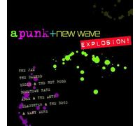 Various Artists - Punk And New Wave Explosion