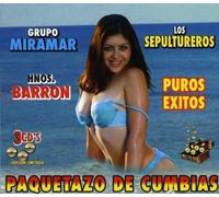 Various Artists - Puros Exitos