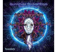 Various Artists - Quantum Transitions