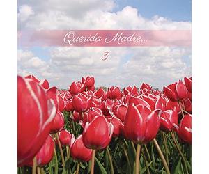 Various Artists - Querida Madre 3