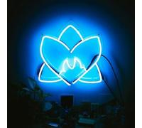 VARIOUS ARTISTS - Radiating Light [VINYL]