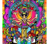 Various Artists - Raja Rams Stashbag 5