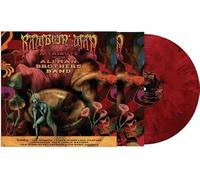 Various Artists - Ramblin' Man - A Tribute To The Allman Brothers Band [VINYL]