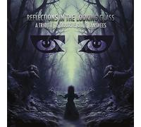 VARIOUS ARTISTS - REFLECTIONS IN THE LOOKING GLA - New Vinyl Record - Y600z