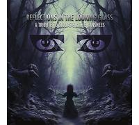 VARIOUS ARTISTS - REFLECTIONS IN THE LOOKING GLA - Vinyl Record - E600z