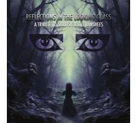 Various Artists - Reflections In The Looking Glass - A Tribute To Siouxsie & The Banshees [VINYL]