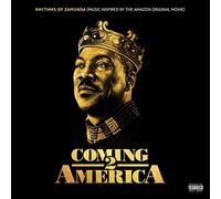 Various Artists - Rhythms Of Zamunda (Music Inspired By Coming 2 America)