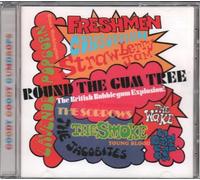 Various Artists - Round The Gum Tree - The British Bubblegum Explosion!