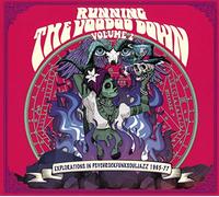 VARIOUS ARTISTS - RUNNING THE VOODOO DOWN 2