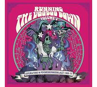 VARIOUS ARTISTS - RUNNING THE VOODOO DOWN 2 [VINYL]