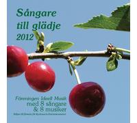 Various Artists - Sangare Till Gladje 2013 / Various