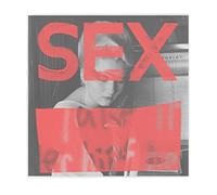 VARIOUS ARTISTS - SEX: WE ARE NOT IN THE LEAST AFRAID OF RUINS