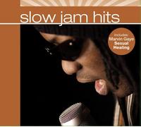 Various Artists - Slow Jam Hits