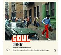 VARIOUS ARTISTS - SOUL DIGGIN' - SOUL MUSIC GEMS FROM VINYL DIGGERS [VINYL]