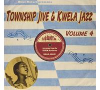Various Artists - Soul Safari Presents Township Jive & Kwela / Var [VINYL]