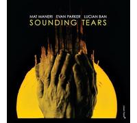 Various Artists - Sounding Tears