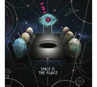 VARIOUS ARTISTS-SPACE IS THE PLAICE NEW VINYL RECORD