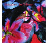 Various Artists - Splendour And Misery