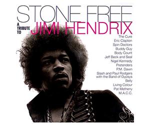 Various Artists - Stone Free (Jimi Hendrix tribute) [180 gm 2LP black vinyl] [VINYL]
