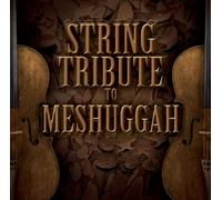 Various Artists - String Tribute to Meshuggah
