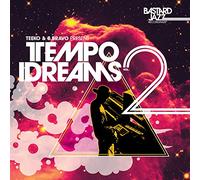 Various Artists - Teeko And B. Bravo Present: Tempo Dreams Vol. 2