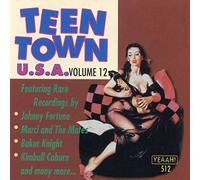 Various Artists - Teen Town USA Vol.12