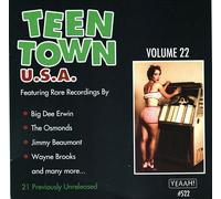 Various Artists - Teen Town V22 (Various Artists)