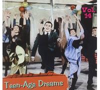 Various Artists - Teenage Dreams 14