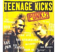 Various Artists - Teenage Kicks - Punk 2