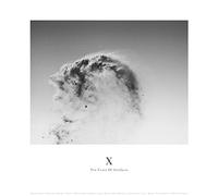 Various Artists - Ten Years Of Artefacts