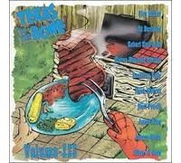 Various Artists - Texas to the Bone 3