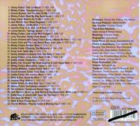 VARIOUS ARTISTS - THAT'LL FLAT GIT IT, VOL. 27: FROM THE VAULT OF SAGE AND SAND