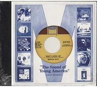 Various Artists 1971: The Sound of Young America (CD) Box Set (US IMPORT)