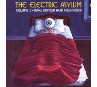 Various Artists - The Electric Asylum Vol.1