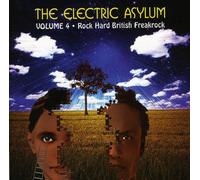 Various Artists - The Electric Asylum Vol 4