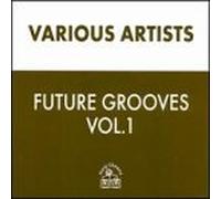 Various Artists - The Future Groove: Essential Drum 'n' Bass