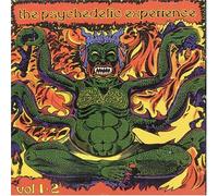 Various Artists - The Psychedelic Experience Vol. 1 And 2