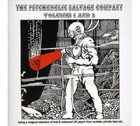 Various Artists - The Psychedelic Salvage Compan