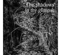 Various Artists - The Shadows In Thy Glimpse: Bedouin Records Selected Discography 2016-2018 [VINYL]