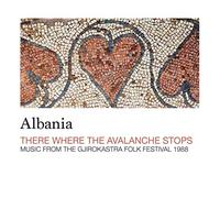 Various Artists - There Where the Avalanche Stops [VINYL]