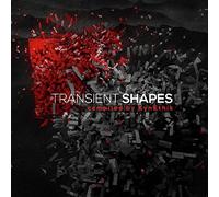 Various Artists - Transient Shapes
