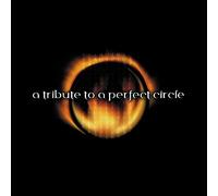 Various Artists - Tribute to A Perfect Circle