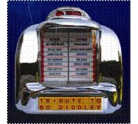 Various Artists - Tribute to Bo Diddley