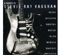 Various Artists - Tribute to Stevie Ray Vaughan
