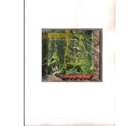 Various Artists - Tropical Rain Forest