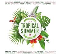 Various Artists - Tropical Summer Compilation / Various