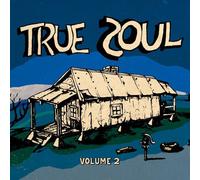 Various Artists : True Soul - Volume 2 CD (2011) NEW Fast and FREE P & P