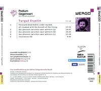 VARIOUS ARTISTS TURGUT ERÇETIN: IN-BETWEEN NEW CD