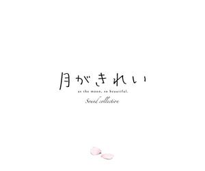 VARIOUS ARTISTS - TV Anime Sound Collection