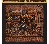 VARIOUS ARTISTS - TWENTY YEARS DEEP